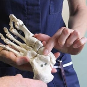 Pointing to Parts of The Foot